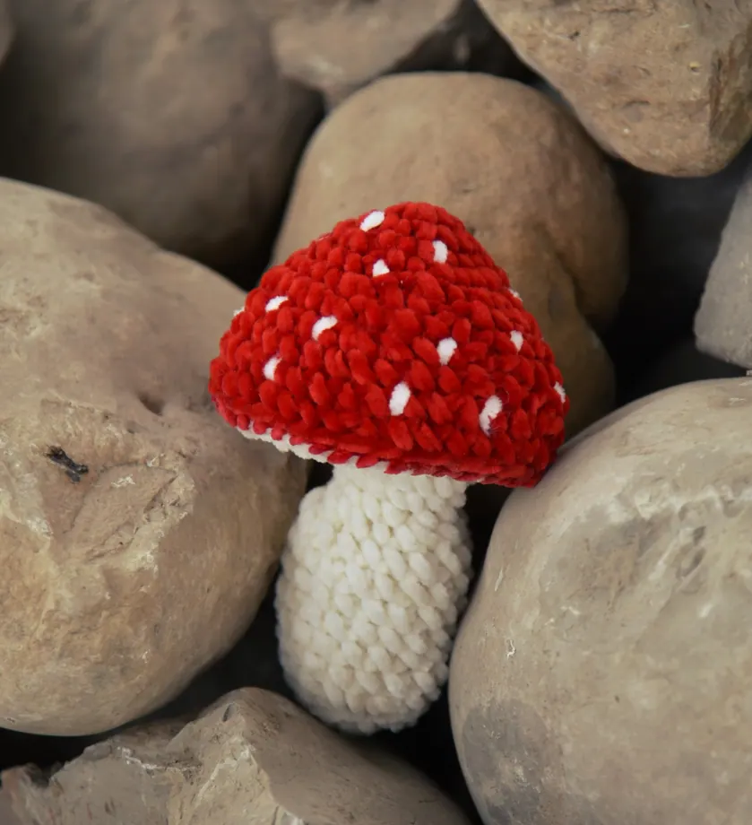 Mushroom velvet toy