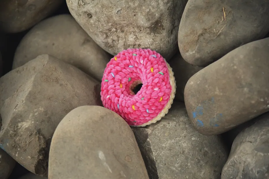 Donut velvet toy