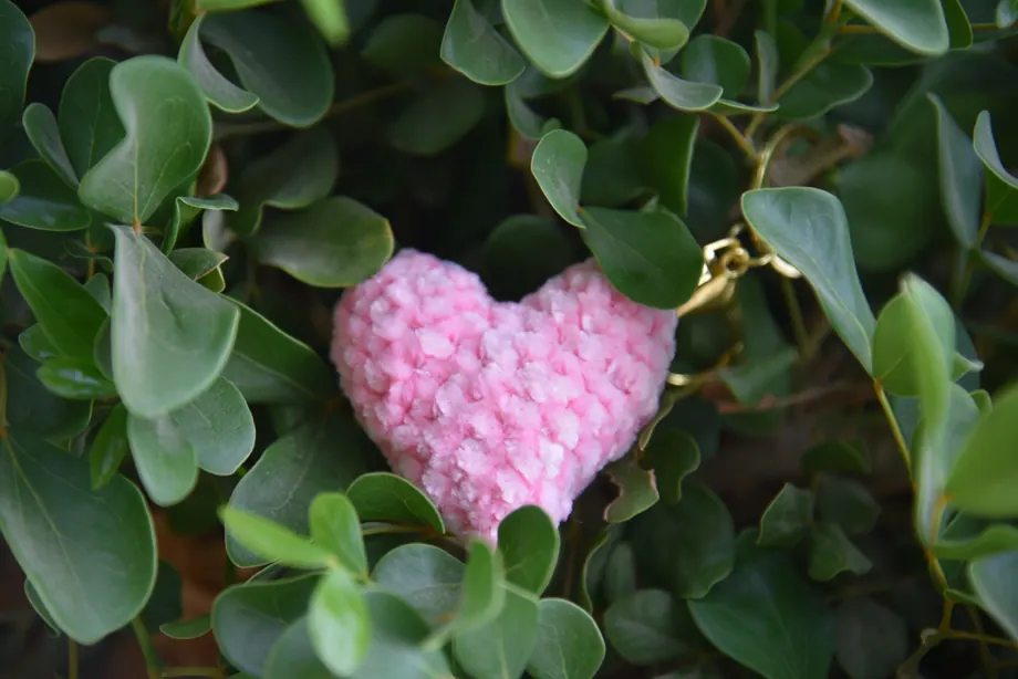 Hearts